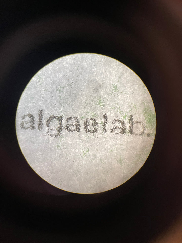 Welcome to the new AlgaeLab site!